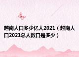 越南人口多少亿人2021（越南人口2021总人数口是多少）