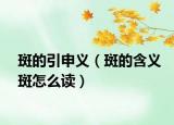 斑的引申义（斑的含义斑怎么读）