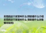 吴尊的这个发型叫什么(烫的是什么介绍 吴尊的这个发型叫什么 烫的是什么详细情况如何)