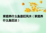 家庭养什么鱼最旺风水（家庭养什么鱼旺运）