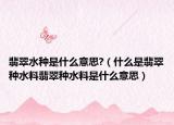 翡翠水种是什么意思?（什么是翡翠种水料翡翠种水料是什么意思）