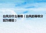 台风分什么等级（台风的等级分别为哪些）