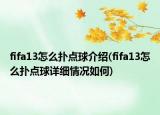 fifa13怎么扑点球介绍(fifa13怎么扑点球详细情况如何)