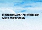 烂番茄的网站简介介绍(烂番茄的网站简介详细情况如何)