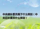 中央候补委员属于什么级别（中央后补委员什么级别）