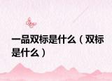 一品双标是什么（双标是什么）