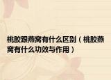 桃胶跟燕窝有什么区别（桃胶燕窝有什么功效与作用）