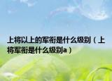 上将以上的军衔是什么级别（上将军衔是什么级别a）