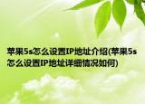 苹果5s怎么设置IP地址介绍(苹果5s怎么设置IP地址详细情况如何)