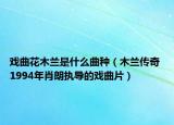 戏曲花木兰是什么曲种（木兰传奇 1994年肖朗执导的戏曲片）