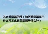怎么看翡翠的种（如何看翡翠属于什么种怎么看翡翠属于什么种）