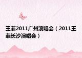 王菲2011广州演唱会（2011王菲长沙演唱会）