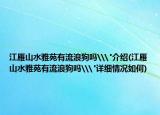 江雁山水雅苑有流浪狗吗\