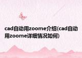 cad自动用zoome介绍(cad自动用zoome详细情况如何)