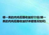 哪一类的肉鸡后期收益好介绍(哪一类的肉鸡后期收益好详细情况如何)