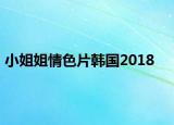 小姐姐情色片韩国2018