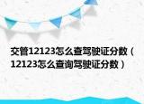 交管12123怎么查驾驶证分数（12123怎么查询驾驶证分数）
