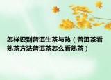 怎样识别普洱生茶与熟（普洱茶看熟茶方法普洱茶怎么看熟茶）