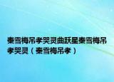 秦雪梅吊孝哭灵曲跃星秦雪梅吊孝哭灵（秦雪梅吊孝）
