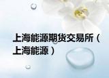 上海能源期货交易所（上海能源）