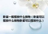 卧室一般摆放什么植物（卧室可以摆放什么植物卧室可以摆放什么）