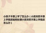 小孩子不想上学了怎么办（小孩突然不想上学我该如何处理小孩突然不想上学我该怎么办）