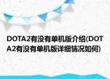 DOTA2有没有单机版介绍(DOTA2有没有单机版详细情况如何)