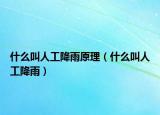 什么叫人工降雨原理（什么叫人工降雨）