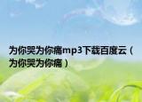 为你哭为你痛mp3下载百度云（为你哭为你痛）