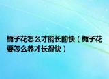 栀子花怎么才能长的快（栀子花要怎么养才长得快）