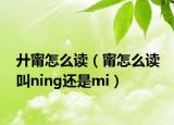 廾甯怎么读（甯怎么读 叫ning还是mi）