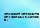 抖音怎么加配音 抖音里面的配音哪来的（抖音怎么配音 抖音怎么加配音）