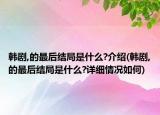 韩剧,的最后结局是什么?介绍(韩剧,的最后结局是什么?详细情况如何)