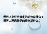 世界上上牙齿最多的动物是什么（世界上牙齿最多的动物是什么）