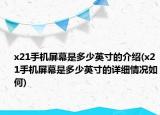 x21手机屏幕是多少英寸的介绍(x21手机屏幕是多少英寸的详细情况如何)