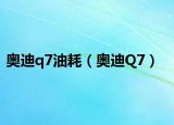 奥迪q7油耗（奥迪Q7）