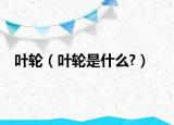 叶轮（叶轮是什么?）
