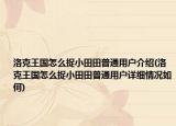 洛克王国怎么捉小田田普通用户介绍(洛克王国怎么捉小田田普通用户详细情况如何)
