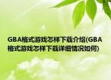 GBA格式游戏怎样下载介绍(GBA格式游戏怎样下载详细情况如何)