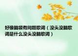 好像脑袋有问题歌词（没头没脑歌词是什么没头没脑歌词）