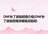 DNF补丁该如何用介绍(DNF补丁该如何用详细情况如何)