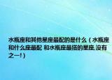 水瓶座和其他星座最配的是什么（水瓶座和什么座最配 和水瓶座最搭的星座,没有之一!）