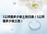 1公顷是多少亩土地日语（1公顷是多少亩土地）