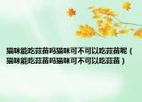 猫咪能吃蒜苗吗猫咪可不可以吃蒜苗呢（猫咪能吃蒜苗吗猫咪可不可以吃蒜苗）