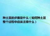 种土豆的步骤是什么（如何种土豆 整个过程中应该注意什么）