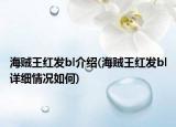 海贼王红发bl介绍(海贼王红发bl详细情况如何)