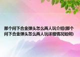 那个问下合金弹头怎么两人玩介绍(那个问下合金弹头怎么两人玩详细情况如何)