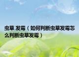 虫草 发霉（如何判断虫草发霉怎么判断虫草发霉）