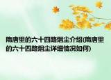 隋唐里的六十四路烟尘介绍(隋唐里的六十四路烟尘详细情况如何)