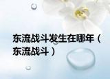东流战斗发生在哪年（东流战斗）